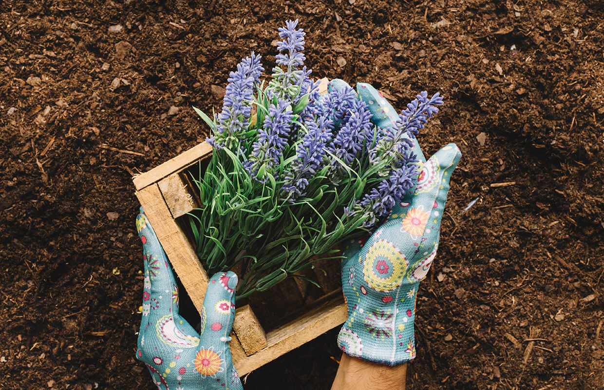 Lawn Care Near Me in Moreland Hills
