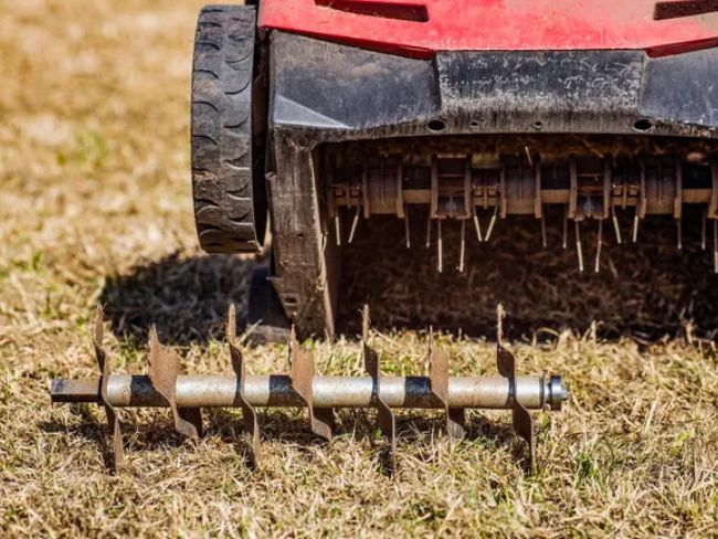 Aeration & Overseeding